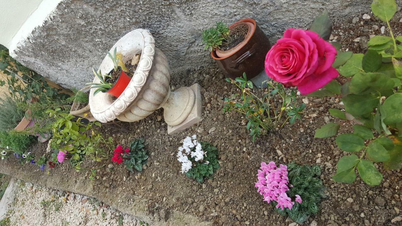 B&B In Sabina Poggio Nativo Екстер'єр фото